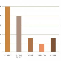 Какаова маса deZaan Quito Oro Еквадор Холандия 53% масленост, снимка 2 - Други - 39313355