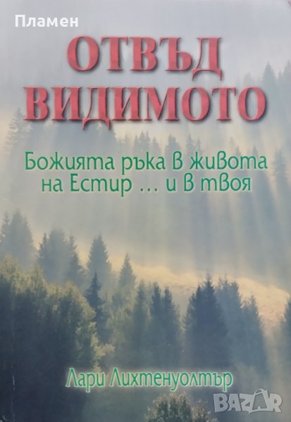 Отвъд видимото. Божията ръка в живота на Естир ... и в твоя Лари Лихтенуолтър, снимка 1