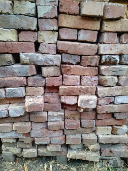 Здрава изчистена ТУХЛА единичка плътна по 20 ст. за брой, снимка 1