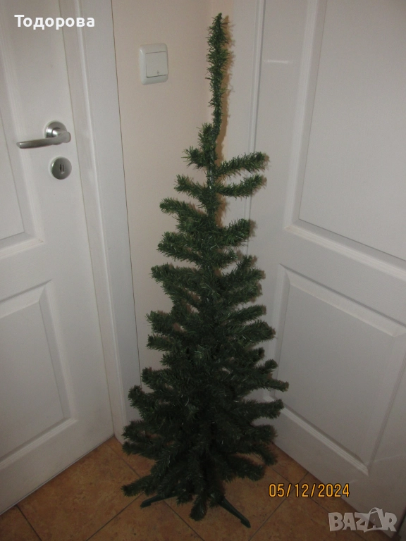 елха, снимка 1