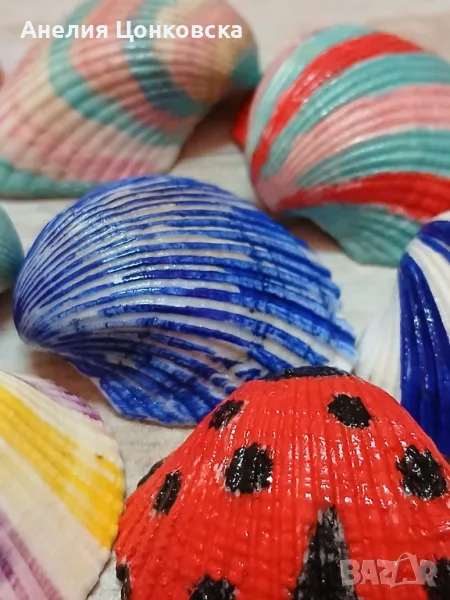 Ръчно рисувани миди , снимка 1