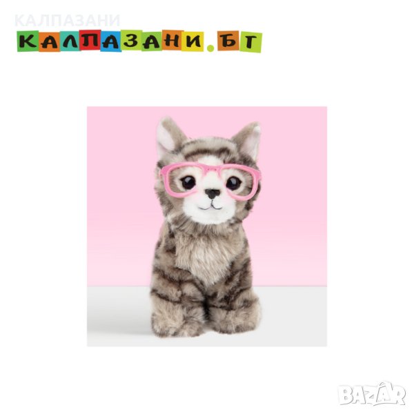Плюшено британско коте с очила, Пейдж 6241, снимка 1