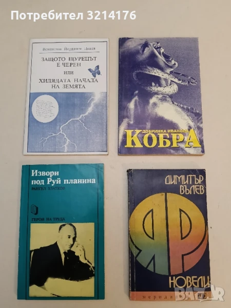 Извори под Руй планина - Рангел Златков, снимка 1