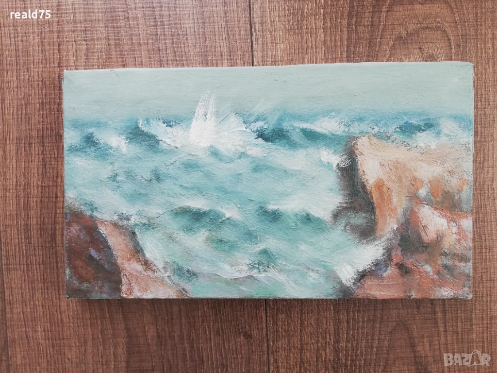 Море ФИЧОЗА-Д. Манолов, снимка 1