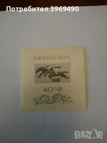 Голяма пощенска марка блок от България 1965 г.