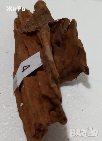 Мангрови Корени /Декорация/ Размер - S  /1-6/, снимка 3 - Оборудване за аквариуми - 48935343