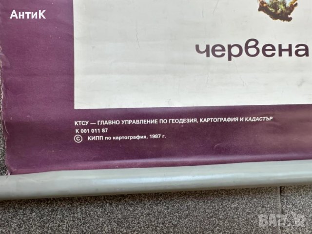 Соц Учебни Плакати Табла Постери Гъби, снимка 9 - Антикварни и старинни предмети - 51025156