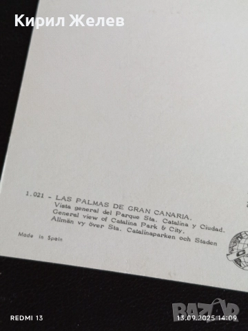 Четири пощенски картички ЛАС ПАЛМАС, ДРЕЗДЕН, АЛИКАНТЕ, БЕРЛИН 32336, снимка 13 - Филателия - 51700625