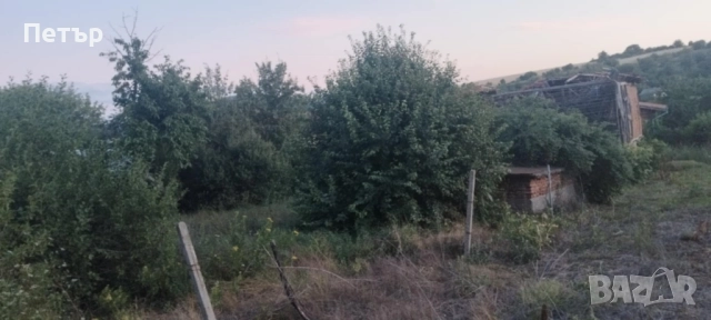 Продавам парцел в село Паничарево , снимка 3 - Парцели - 49612312