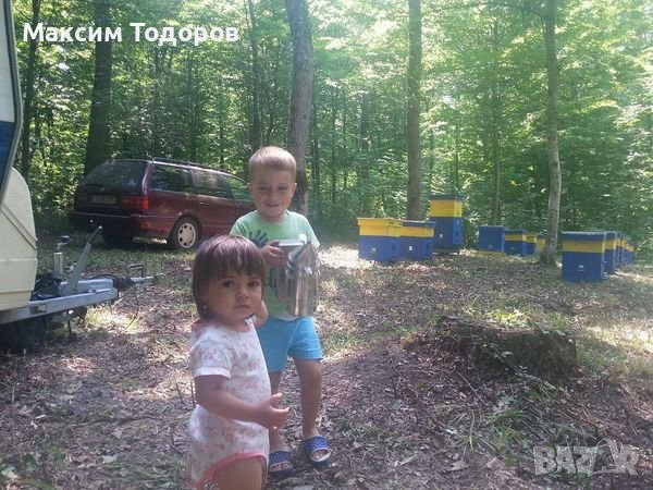 Билков мед, снимка 6 - Пчелни продукти - 38946723