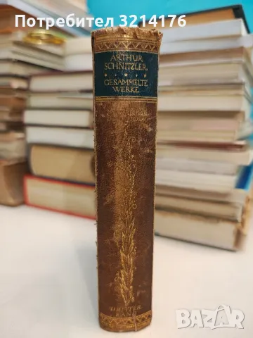 Gesammelte Werke, Erzählende Schriften Von Arthur Schnitzler. Der Weg Ins Freie Roman (1905-1907), снимка 2 - Специализирана литература - 48321874