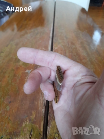 Бронзова четка за почистване на монети, снимка 4 - Антикварни и старинни предмети - 53417667