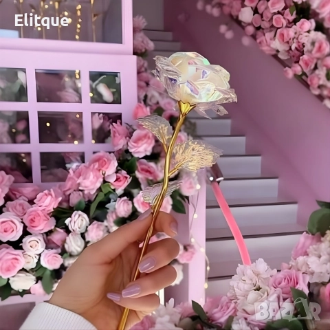 Роза в цветовете на дъгата – изискан подарък за любов и благодарност