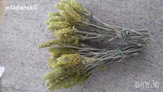 МуРсАлСкИ ЧаЙ, снимка 2 - Домашни продукти - 28503909