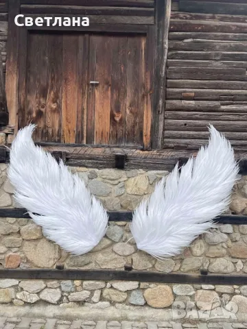 Декоративни пера за закачване