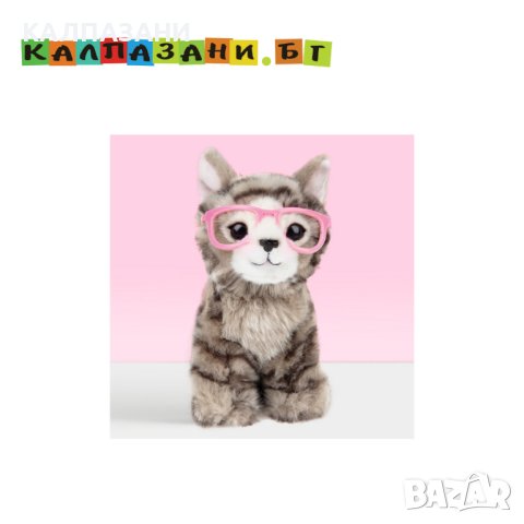 Плюшено британско коте с очила, Пейдж 6241