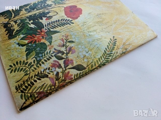 Водни кончета-гатанки - Богомил Евтимов - 1980г., снимка 6 - Детски книжки - 43788484