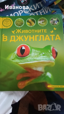 Животните в джунглата 
