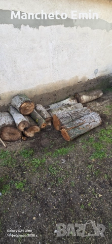 Продавам орехови трупчета , снимка 2 - Дърводелски услуги - 53302149