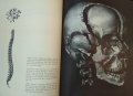 The human body First Edition (January 1, 1965). Fritz Kahn. New York, снимка 2