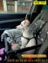 Автомобилна седалка за куче - КОД 3221, снимка 4