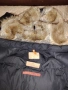 дамско яке размер л , снимка 7