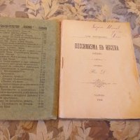 Книга 1902г Песимизмътъ  на Ибсена, снимка 5 - Антикварни и старинни предмети - 27949732
