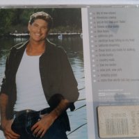 DAVID HASSELHOFF, снимка 3 - CD дискове - 26473365