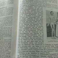 Die Chirurgie - Band V- Kirschner, M. und O. Nordmann - 1927 г., снимка 9 - Антикварни и старинни предмети - 36460717