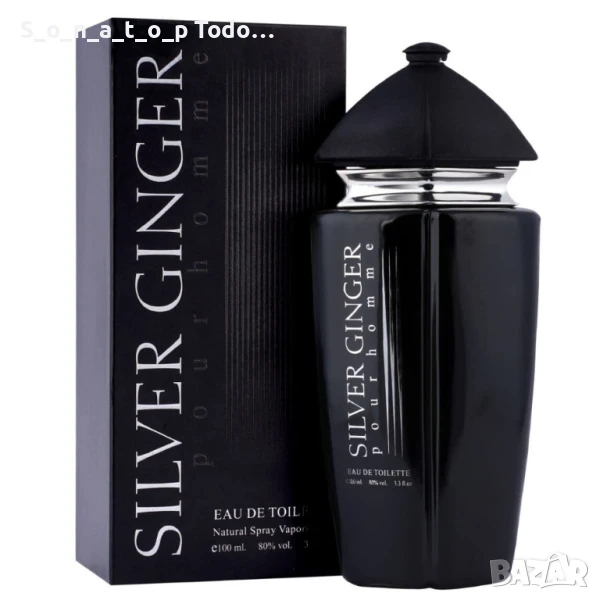 Парфюм Silver Ginger by BN, U n i s e x, Eau de toilette 100ml, снимка 1