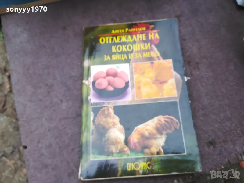 КОКОШКИ 1002250746, снимка 1