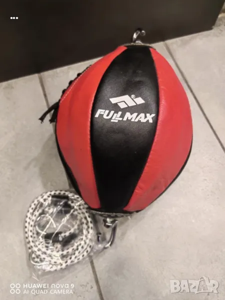 Боксова круша, снимка 1