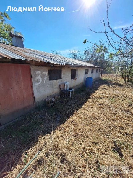 Ферма/Хале 286 кв.м, снимка 1