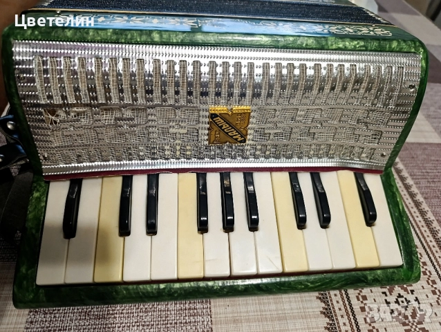 Детски акордеон , снимка 6 - Акордеони - 52774969
