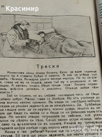 Винтидж Списание Росица 1924-1925 г. , снимка 6 - Детски книжки - 52983650