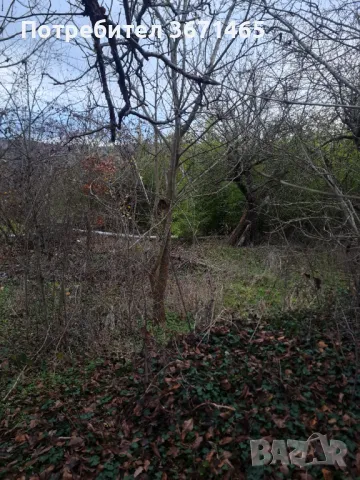 Парцел с. Кичево, снимка 3 - Парцели - 47050473