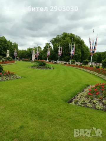 Почистване на Дворове Вили Парцели, снимка 8 - Други услуги - 49250096