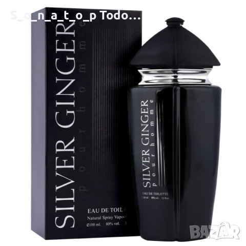 Парфюм Silver Ginger by BN, U n i s e x, Eau de toilette 100ml, снимка 1