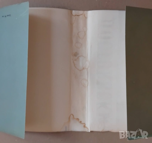 Книга Достоевски - том 12, "Писма и статии", снимка 10 - Художествена литература - 53450765