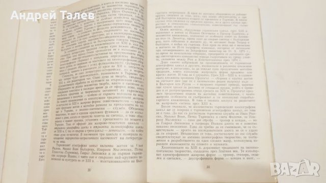 българската литература и книжнина през 13 ти век, снимка 4 - Българска литература - 27222649