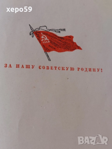 WW2-Немски метален бронзов бокс(кастеть) и книга Щурм Берлина., снимка 14 - Антикварни и старинни предмети - 52315377