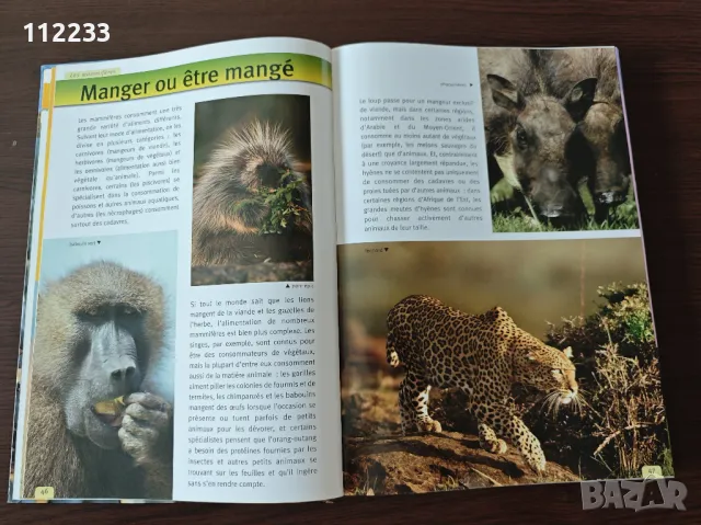 Le Regne Animal-енциклопедия на френски, снимка 3 - Енциклопедии, справочници - 47479705