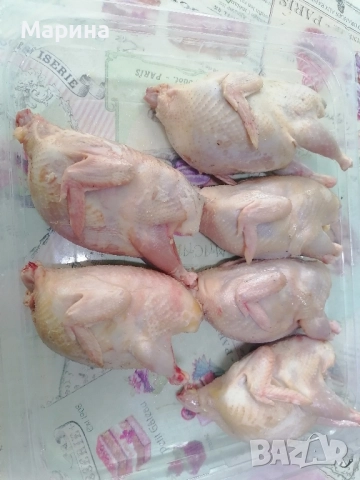 пъдпъдъци, снимка 2 - За птици - 52094606