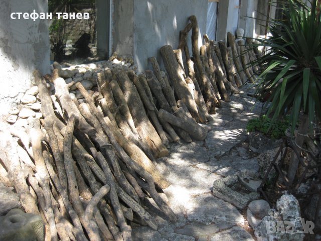 Чемшир - дървен материал за украсна резба, снимка 10 - Антикварни и старинни предмети - 18621658