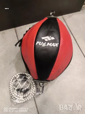 Боксова круша, снимка 1