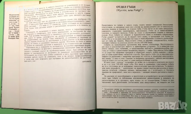 Стара Книга Атлас по Ботаника/Сл.Петров,Е.Паламарев, снимка 3 - Специализирана литература - 49204492