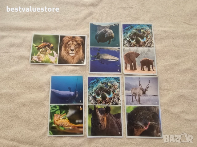 Стикери Невероятните Животни По Света