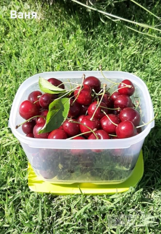 Кърпи за прах, купи, миксер, , снимка 3 - Аксесоари за кухня - 45371692