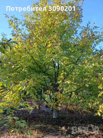 Продавам вила с място 2,5дка, снимка 2 - Вили - 47448206