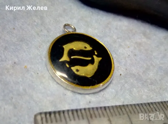 ЗОДИЯ РИБИ АСТРОЛОГИЧЕН СРЕБЪРЕН МЕДАЛЬОН СРЕБРО 900 с ЕМАЙЛ и ЛАК АРТ ПЕНДАНТ 49420, снимка 6 - Колиета, медальони, синджири - 49551522